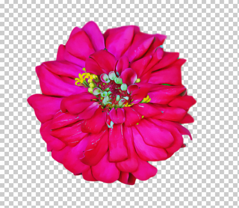 Floral Design PNG, Clipart, Artificial Flower, Chrysanthemum, Cut Flowers, Dahlia, Floral Design Free PNG Download