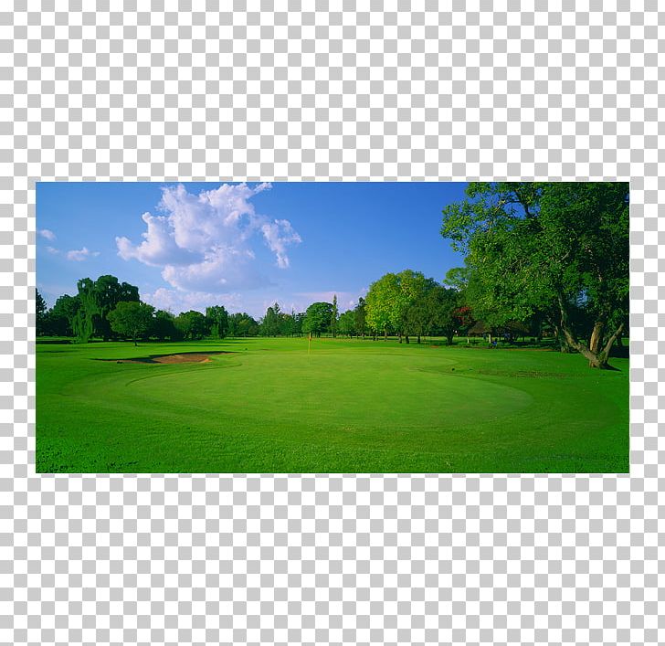 Golf Course Golf Clubs Grassland Leisure PNG, Clipart, Field, Golf, Golf Club, Golf Clubs, Golf Course Free PNG Download