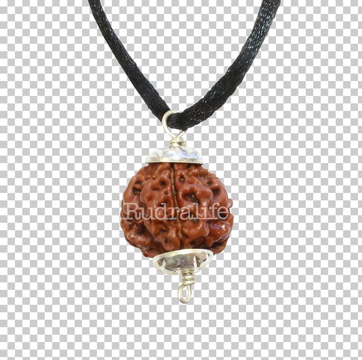 Rudraksha Locket Rudralife Necklace Jewellery PNG, Clipart, Accident, Bead, Buddhist Prayer Beads, Charms Pendants, Common Cold Free PNG Download