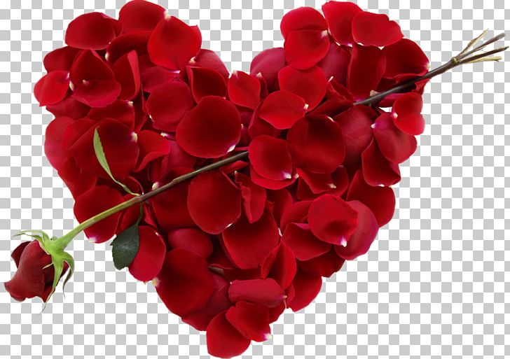 Valentine's Day Flower Heart Floral Design Gift PNG, Clipart, Annual Plant, Cut Flowers, Day, February 14, Floral Design Free PNG Download