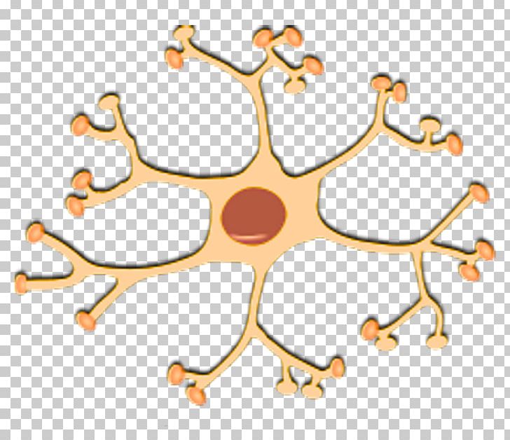 Nerve Interneuron Nervous System PNG, Clipart, Area, Artwork, Axon, Body Jewelry, Cell Free PNG Download