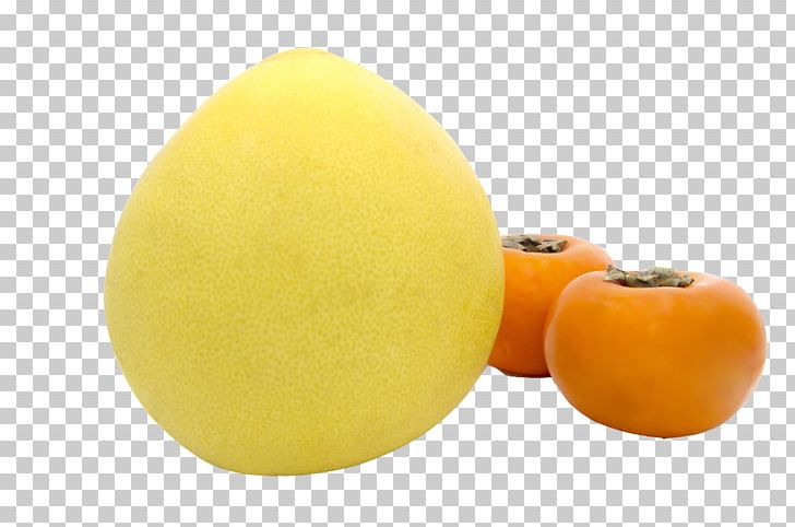 Grapefruit Lemon Tangerine Citron Citrus Junos PNG, Clipart, Acid, Citric Acid, Citron, Citrus, Citrus Junos Free PNG Download