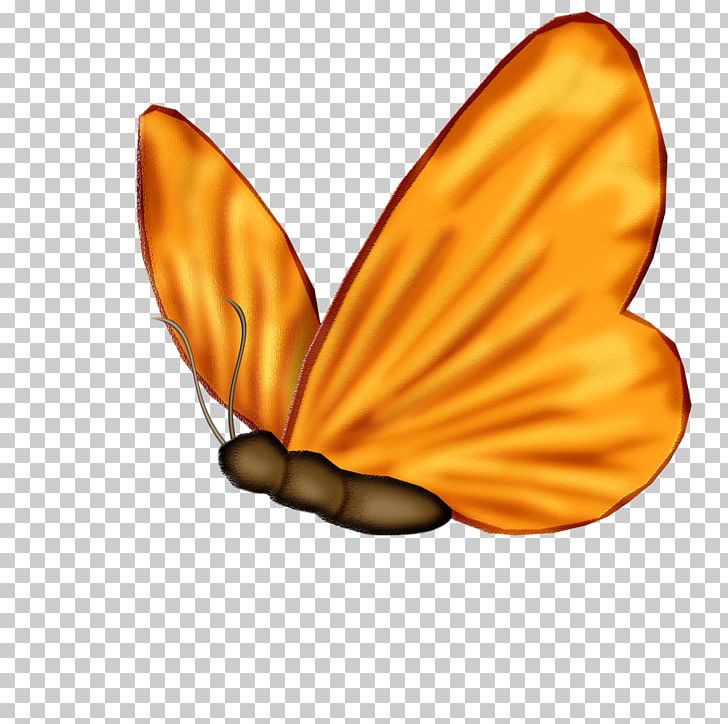 Monarch Butterfly Nymphalidae Animation PNG, Clipart, Animation, Autumn Wreathcolor, Brush Footed Butterfly, Butterflies And Moths, Butterfly Free PNG Download
