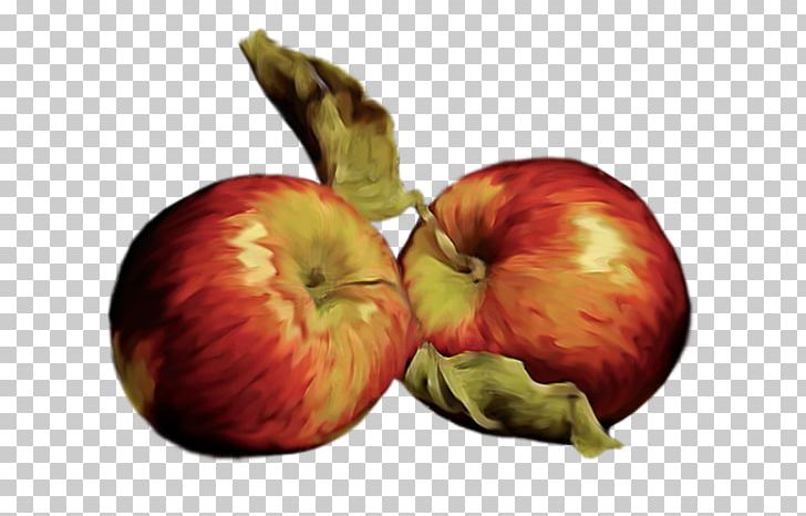 Apple Food PNG, Clipart, Apple, Apple Fruit, Apple Logo, Apple Tree, Basket Of Apples Free PNG Download