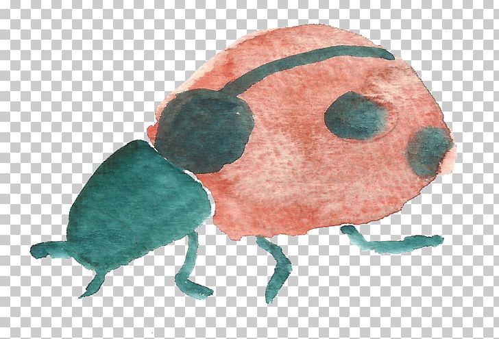 Beetle Ladybird PNG, Clipart, Bugs, Cartoon, Cartoon Ladybug, Coccinella Septempunctata, Cute Ladybug Free PNG Download
