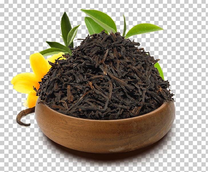 Dianhong Nilgiri Tea Oolong Tea Plant PNG, Clipart, Cha Cha, Dianhong, Nilgiri Tea, Oolong Tea, Tea Plant Free PNG Download