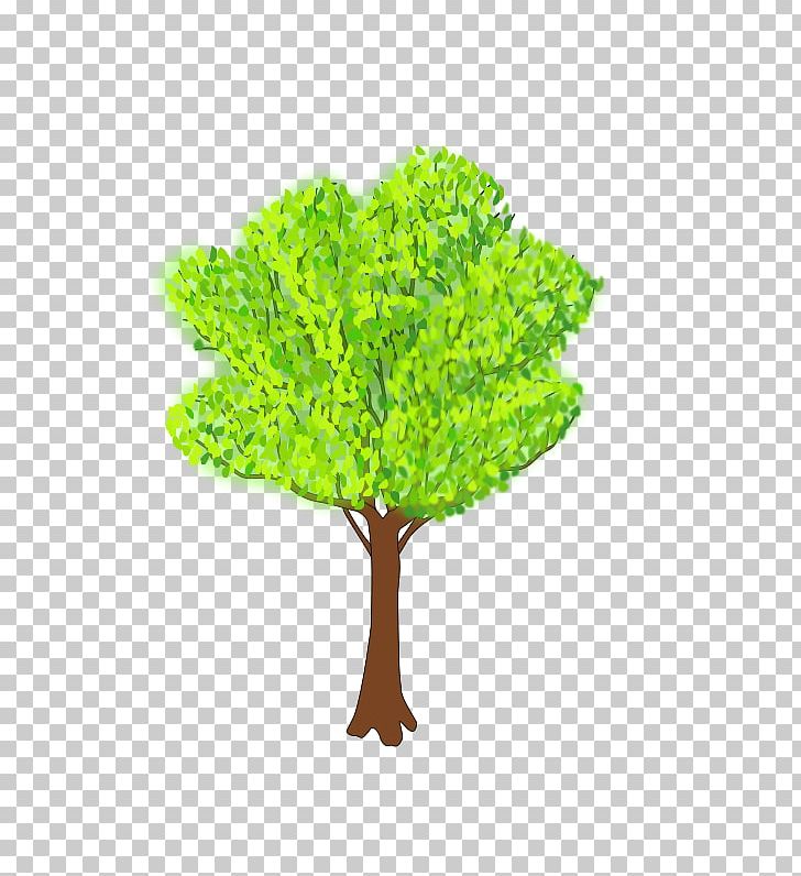 Open Tree Free Content PNG, Clipart, Branch, Cartoon, Computer, Computer Icons, Dogwood Free PNG Download
