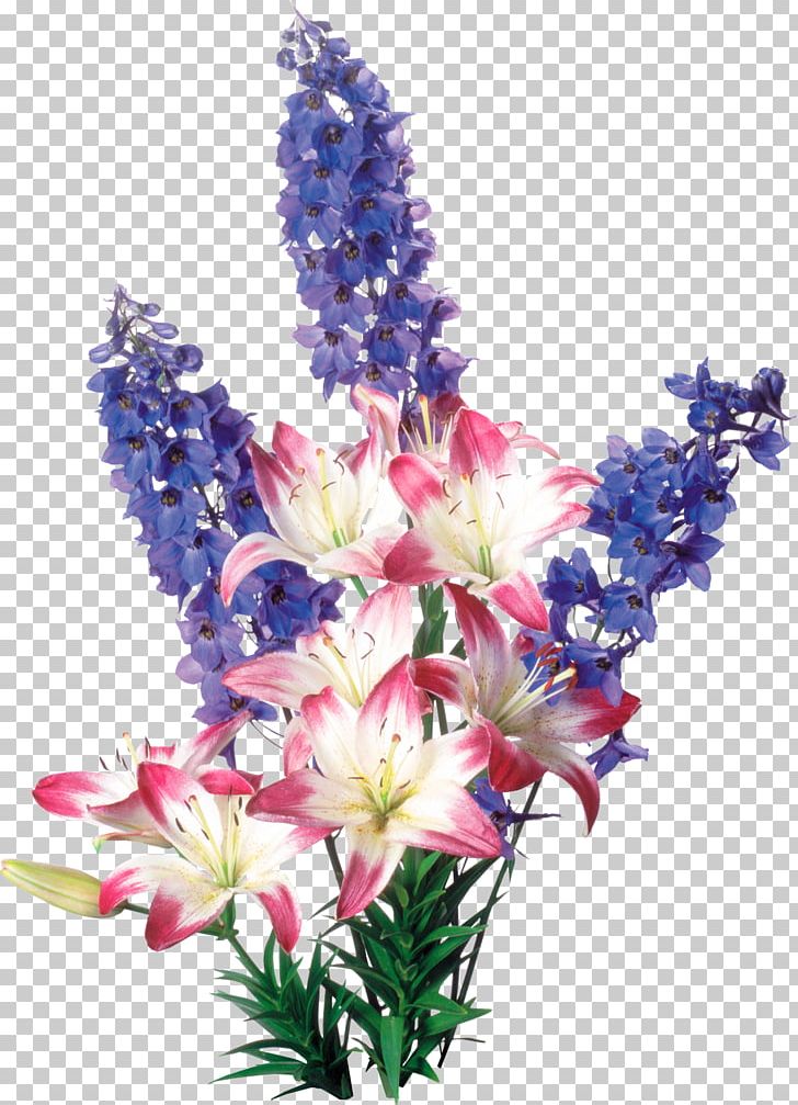Flower Drawing PNG, Clipart, Animation, Artificial Flower, Cut Flowers, Delphinium, Desktop Wallpaper Free PNG Download