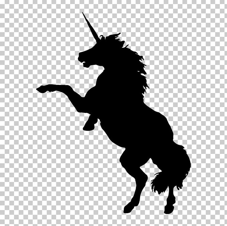 Healthy Horses Ltd. Dion And The Sibyls: A Classic Novel YouTube PNG, Clipart, Animals, Black And White, Book, Fictional Character, Flicka Free PNG Download