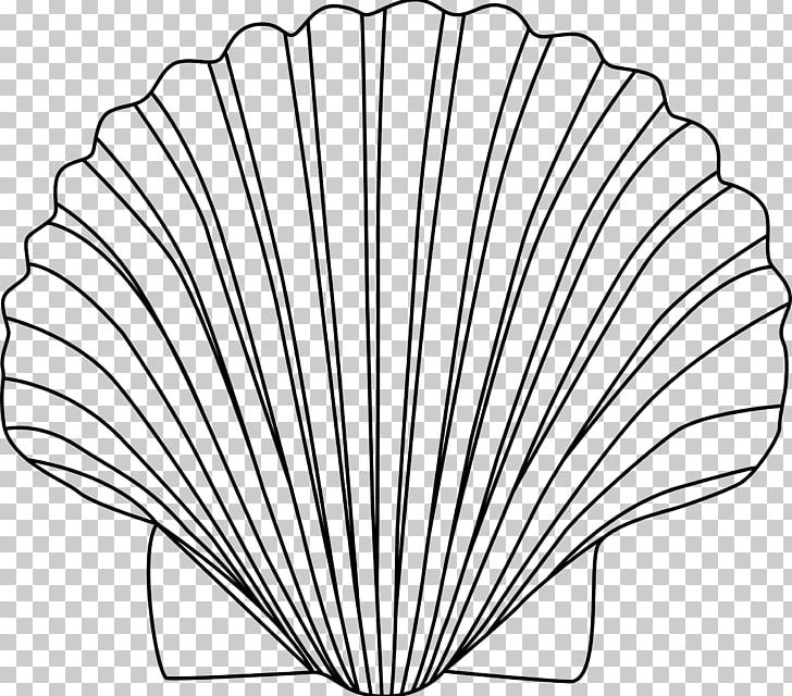 Seashell PNG, Clipart, Angle, Animals, Argonaut, Black And White, Clams Free PNG Download
