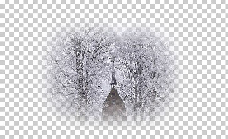 Blizzard Fog Frost Desktop Snow PNG, Clipart, B G, Black And White, Blizzard, Branch, Computer Free PNG Download