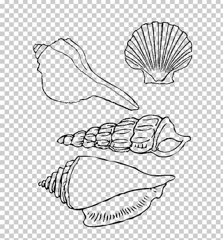 Coloring Book Seashell Zentangle Child PNG, Clipart, Adult, Angle, Animals, Art, Beach Free PNG Download