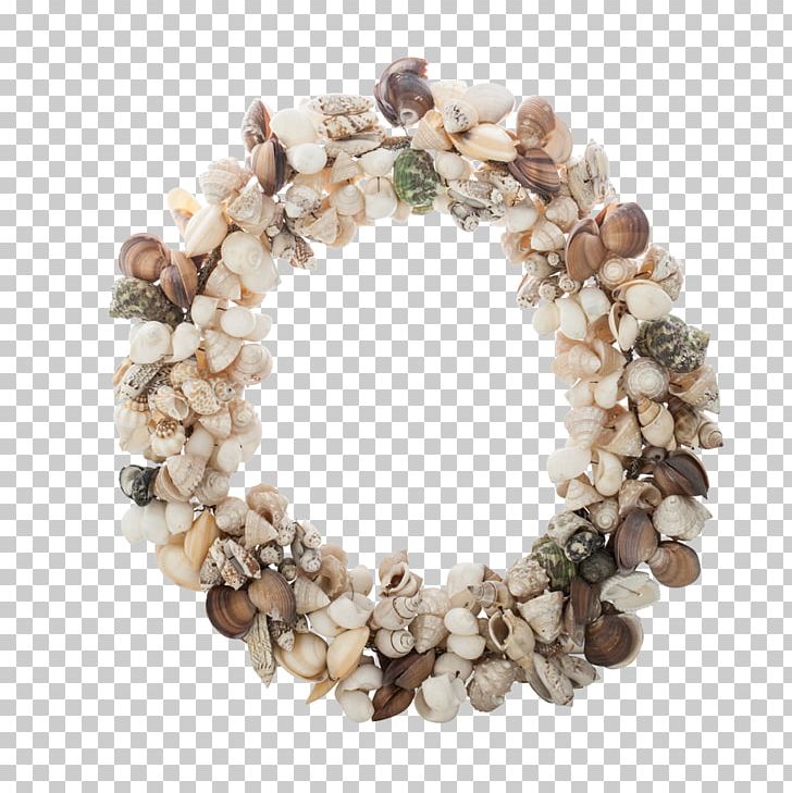 Seashell Jewellery Wreath PNG, Clipart, Animals, Jewellery, Seashell, Shell, Small Free PNG Download