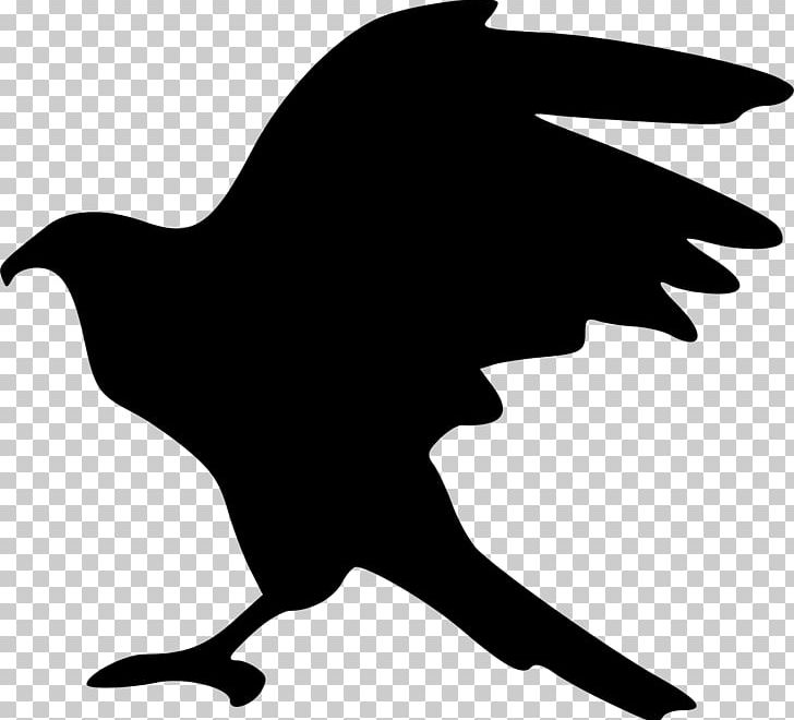 Bald Eagle Hawk Silhouette PNG, Clipart, Animals, Artwork, Bald Eagle, Beak, Bird Free PNG Download