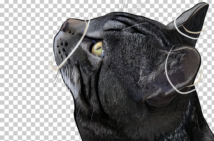 Black Cat Icon PNG, Clipart, Animal, Animals, Background Black, Black, Black Background Free PNG Download