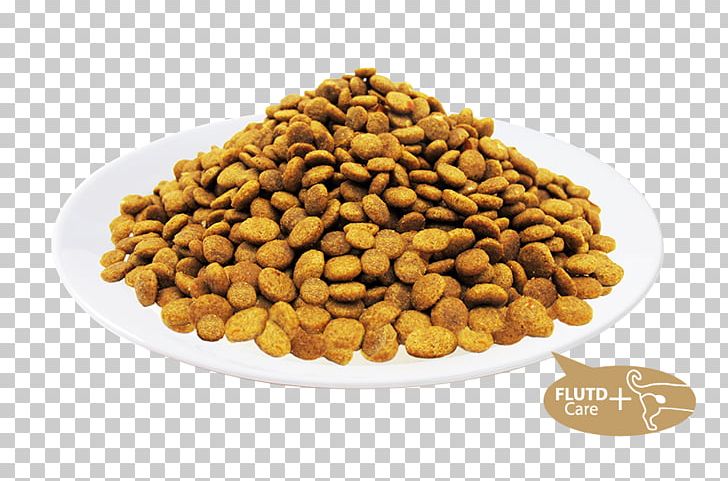 Cat Food Feline Lower Urinary Tract Disease Taurine PNG, Clipart, Animals, Cat, Cat Food, Dried Meat Floss Roll, Feline Lower Urinary Tract Disease Free PNG Download