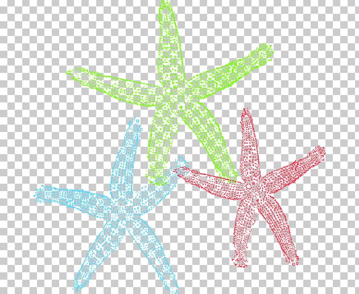 Free Content Starfish PNG, Clipart, Blog, Computer Icons, Download, Echinoderm, Free Content Free PNG Download