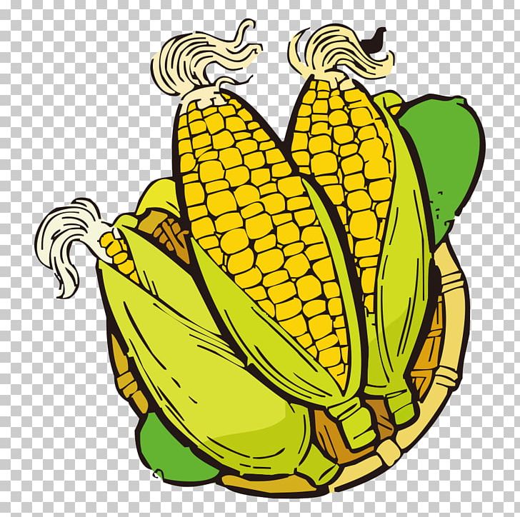Banana Vegetable Maize PNG, Clipart, Banana Family, Baogu, Cartoon, Cartoon Corn, Commodity Free PNG Download