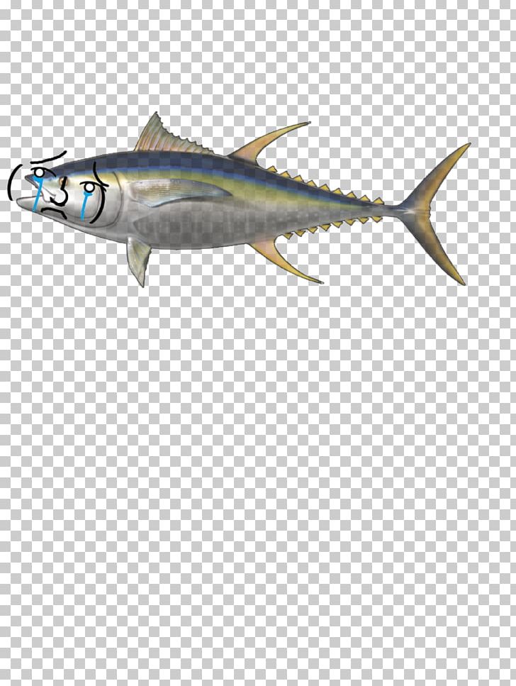 Bigeye Tuna Yellowfin Tuna Atlantic Bluefin Tuna Mackerel Fish PNG, Clipart, Animals, Atlantic Bluefin Tuna, Bigeye Tuna, Bonito, Bony Fish Free PNG Download