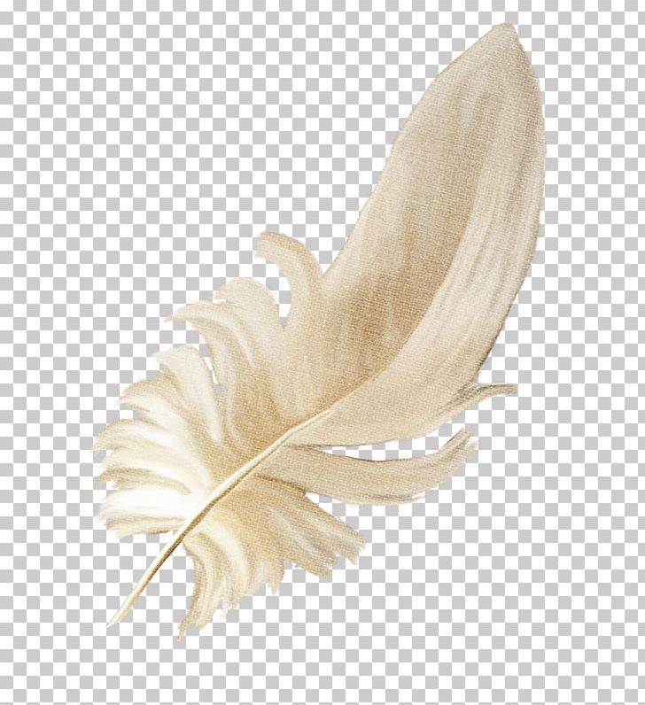 Feather Clothing Dress Flight Wing PNG, Clipart, Animals, Bird, Clothing, Computer Icons, Dress Free PNG Download