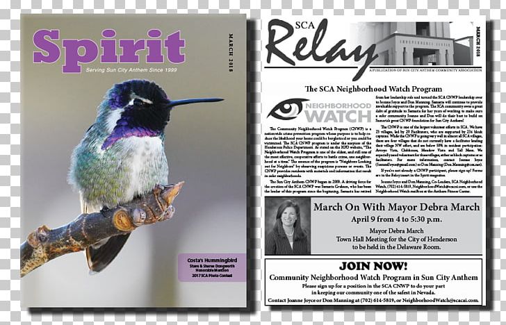 Hummingbird M Advertising Beak PNG, Clipart, Advertising, Beak, Bird, Fauna, Hummingbird Free PNG Download