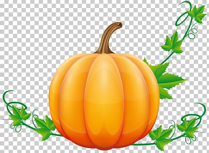 Pumpkin Pie Candy Pumpkin Bisque PNG, Clipart, Calabaza, Clipart, Commodity, Computer Icons, Cucumber Gourd And Melon Family Free PNG Download