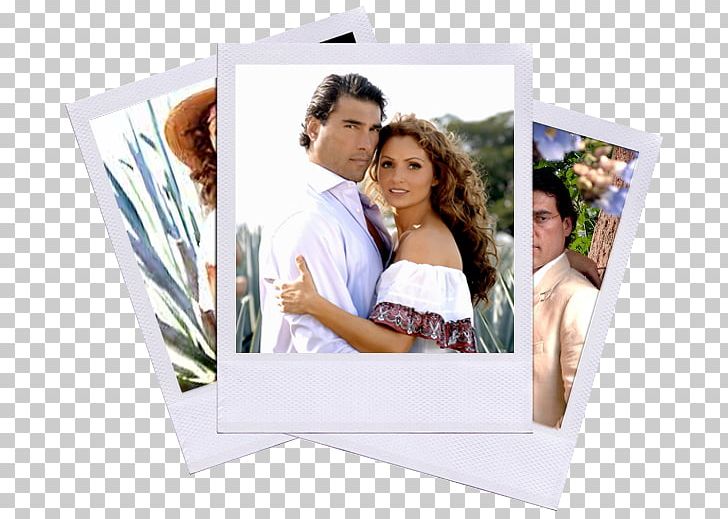Telenovela Ay Gaviota Actor Fernsehserie Marriage PNG, Clipart, Actor, Angelica Rivera, Fernsehserie, In The Name Of Love, Marriage Free PNG Download