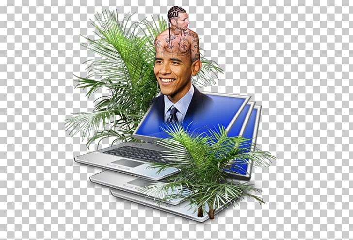 Barack Obama PNG, Clipart, Barack Obama, Child, Plant, Tree Free PNG Download