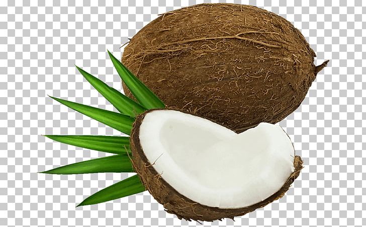 Coconut Water Fruit PNG, Clipart, Blog, Clip Art, Coconut, Coconut Water, Copra Free PNG Download