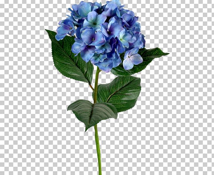 French Hydrangea Blue Flower Color Green PNG, Clipart, Annual Plant, Artificial Flower, Bahar Cicekleri, Blue, Cicek Free PNG Download