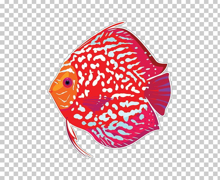 Tropical Fish Aquarium Red Discus Paper PNG, Clipart, Animals, Aquarium, Aquariums, Aulonocara, Cichlid Free PNG Download