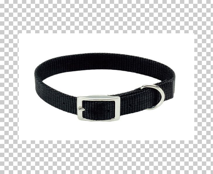 Dog Collar Belt Leash Choker PNG, Clipart,  Free PNG Download