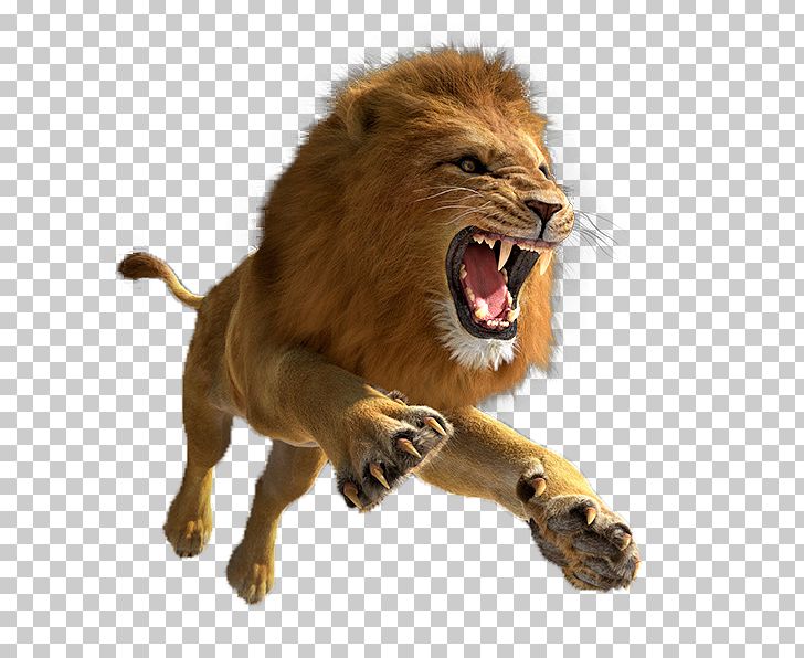 Lion Quest Simulator Tiger 3D Computer Graphics Lion Hunter Forest Escape PNG, Clipart, 3d Computer Graphics, Animals, Big Cats, Carnivoran, Cat Like Mammal Free PNG Download