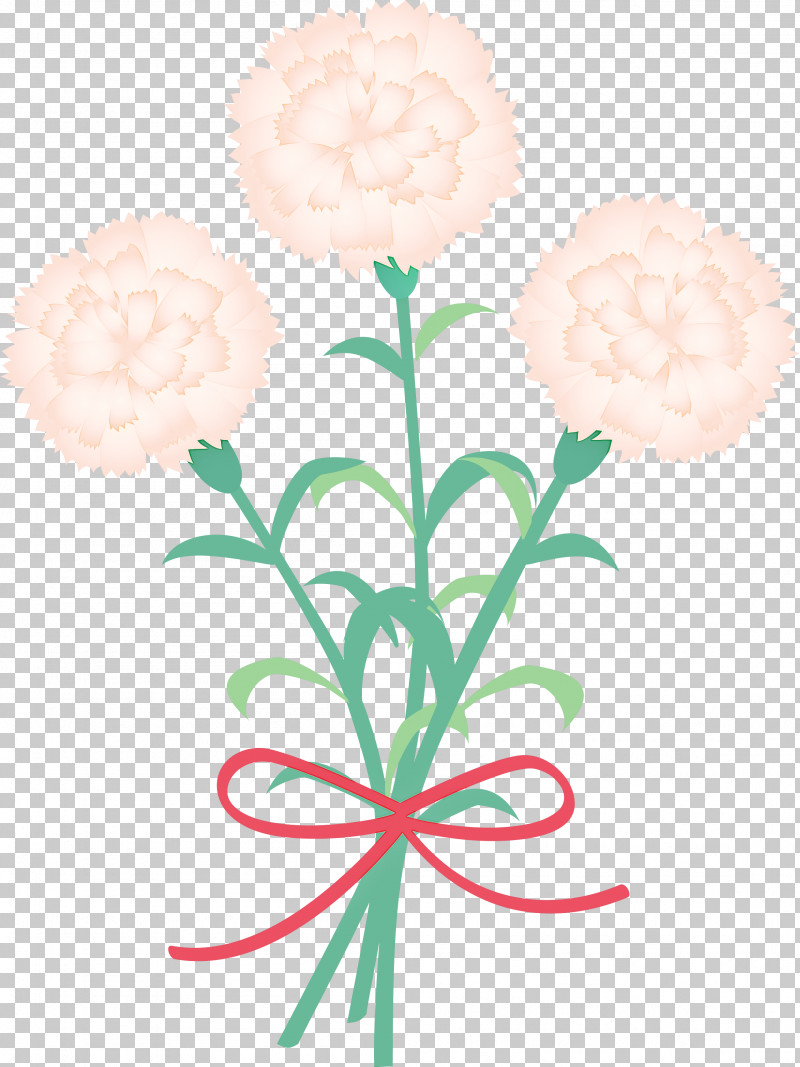 Mothers Day Carnation Mothers Day Flower PNG, Clipart, Bouquet, Cut Flowers, Flower, Hydrangea, Mothers Day Carnation Free PNG Download