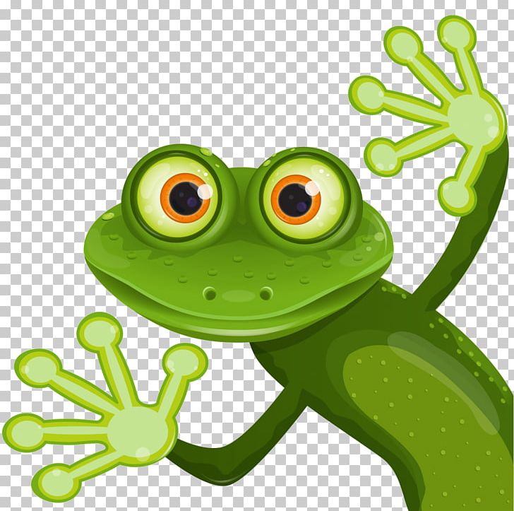 Graphics Frog Stock Photography Illustration PNG, Clipart, Amphibian, Animals, Eye, Frog, Green Free PNG Download