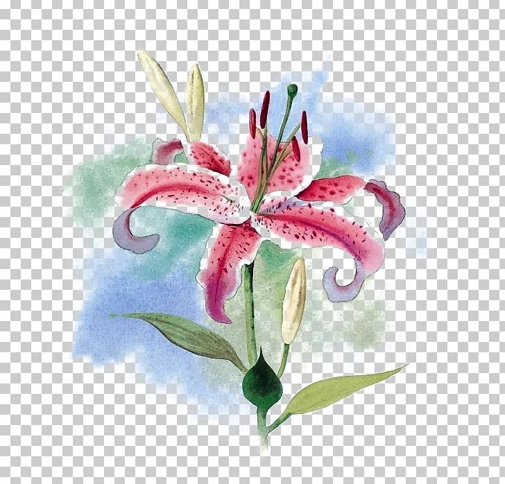 Tiger Lily Flower Water Lily Arum-lily PNG, Clipart, Background, Floral Design, Floristry, Flower, Flower Arranging Free PNG Download