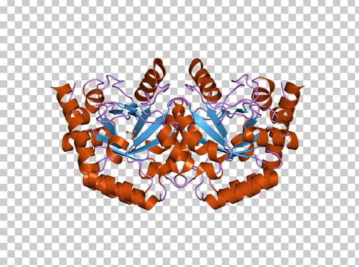 Uridine Monophosphate Synthetase Enzyme PNG, Clipart, Adenosine Monophosphate, Domain, Eaw, Energy, Enzyme Free PNG Download