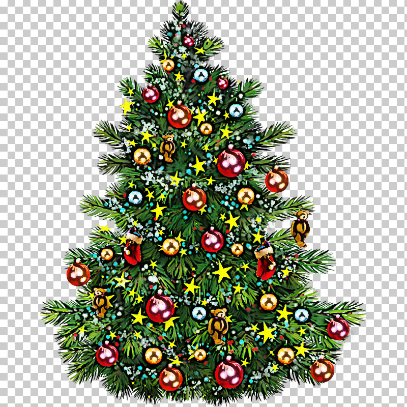 Christmas Tree PNG, Clipart, American Larch, Branch, Christmas, Christmas Decoration, Christmas Eve Free PNG Download