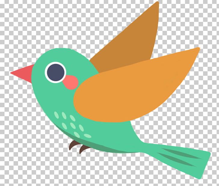 Draw Birds Beak PNG, Clipart, Animals, Beak, Bird, Bird Feeder, Draw Birds Free PNG Download