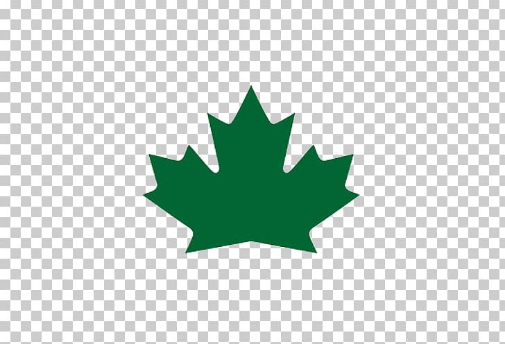 Flag Of Canada Maple Leaf Bob And Doug McKenzie PNG, Clipart, Bob And Doug Mckenzie, Canada, Canada Day, Flag Of Canada, Flowering Plant Free PNG Download