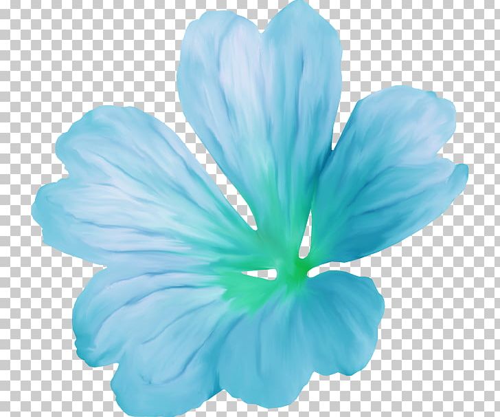 Hibiscus Petal Flower Blog PNG, Clipart, Blog, Blue, Flower, Flowering Plant, Herbaceous Plant Free PNG Download