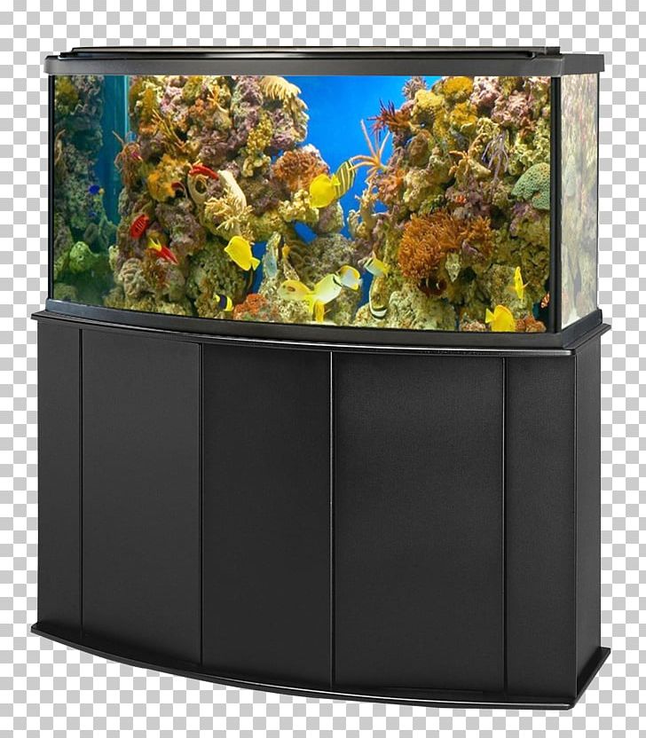 Aquarium Goldfish Ornamental Fish PNG, Clipart, Animal, Animals, Aquarium, Aquarium Fish Feed, Aquarium Fish Tank Free PNG Download