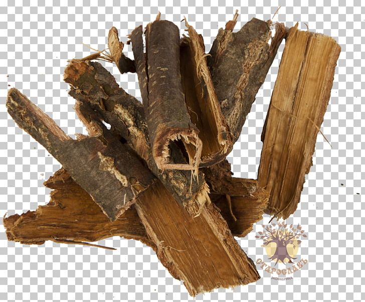Bark English Oak Tree Root Extract PNG, Clipart, Bark, Catkin, Common Sage, Decoction, English Oak Free PNG Download