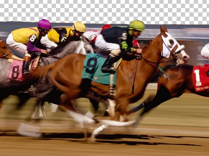 Horse Racing Sports Betting Race Track PNG, Clipart, Animals, Betting Strategy, Brown, Equestrian, Equestrian Sport Free PNG Download