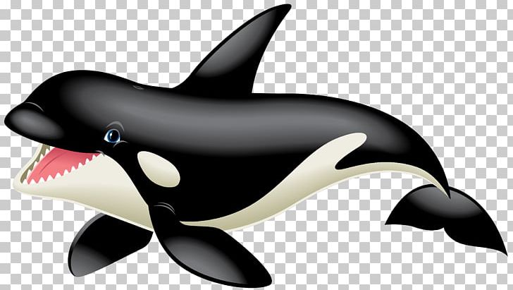 Killer Whale White-beaked Dolphin Marine Biology PNG, Clipart, Animals, Biology, Dolphin, Fin, Fish Free PNG Download