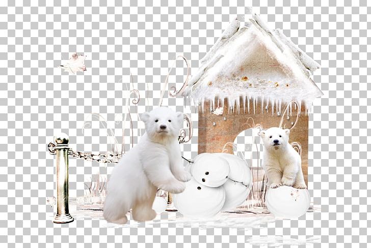 Polar Bear PNG, Clipart, Animals, Carnivoran, Computer, Cuteness, Desktop Wallpaper Free PNG Download