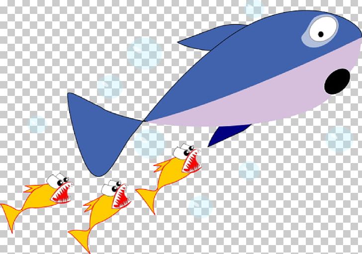 Shark Cartoon Fish PNG, Clipart, Animal, Animals, Animation, Baby, Beak Free PNG Download