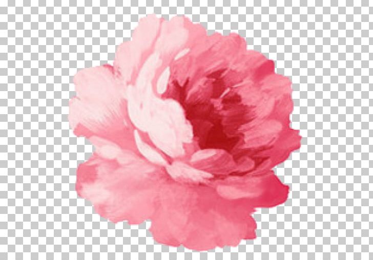 Paper Pink Flowers Sticker PNG, Clipart, Azalea, Carnation, Cosmetics, Cut Flowers, Flower Free PNG Download