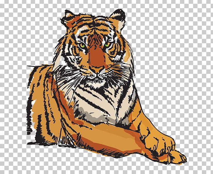 Tiger PNG, Clipart, Animals, Art, Bengal Tiger, Big Cats, Black Tiger Free PNG Download