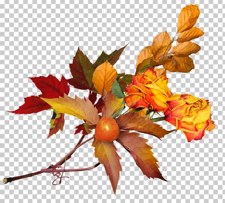 Flower Desktop PNG, Clipart, Autumn, Autumn Leaves, Branch, Cdr, Cut Flowers Free PNG Download